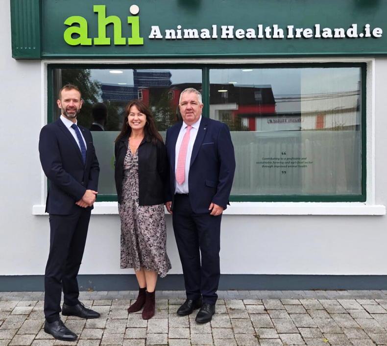 Jeanne Kelly joins AHI board               