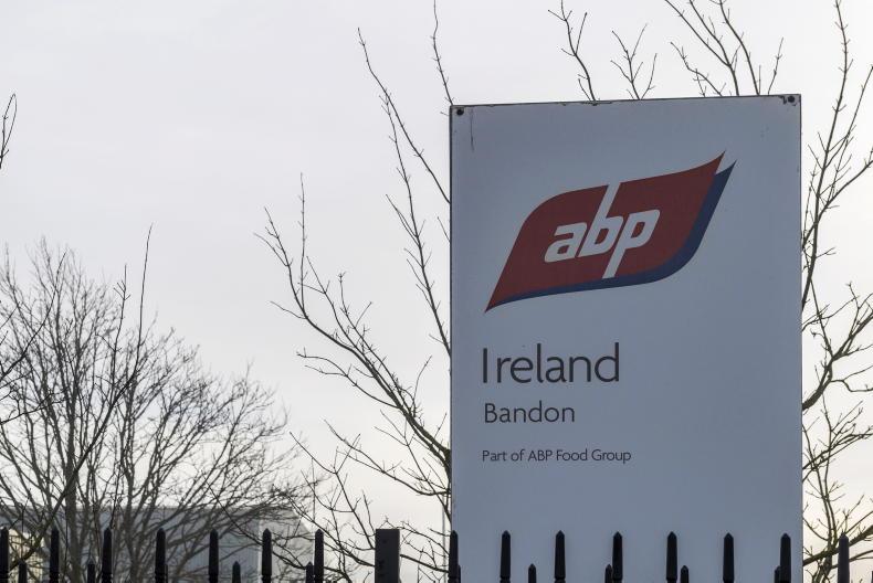 New chair at ABP       
