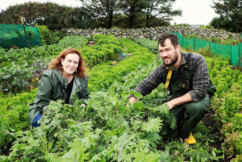 Kai’s the limit for Kiwi chef, Jess Murphy in the west
 