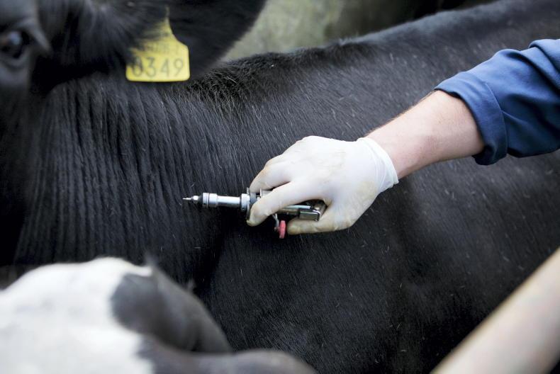 Goodwill with new TB plan depends on compensation rise - ICSA