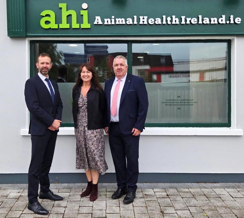 New appointment to board of AHI