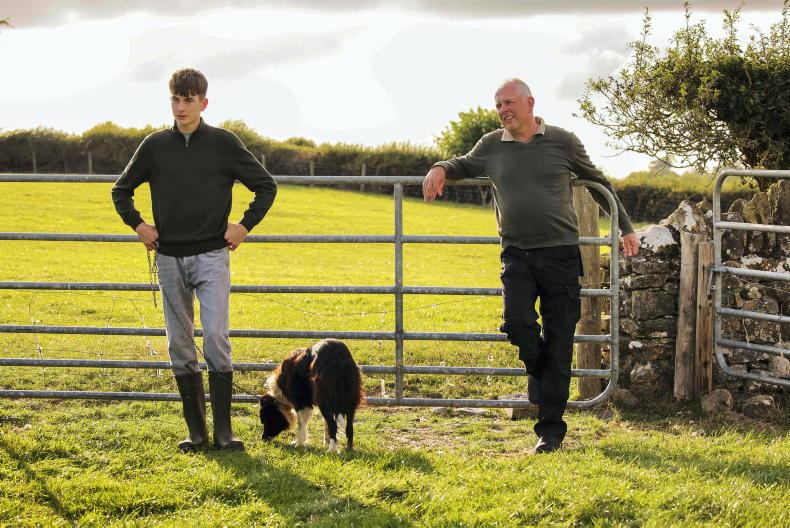 Role of farmers highlighted in new Bord Bia quality mark campaign 