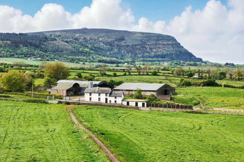 Scenic Sligo farm sells at auction for €25,000/ac