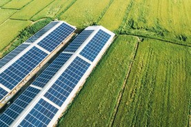Ploughing 2025 talk to highlight farmers’ pathways to renewables
