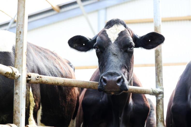 Agri jobs: dairy assistant role in Kilkenny for €34,000/annum