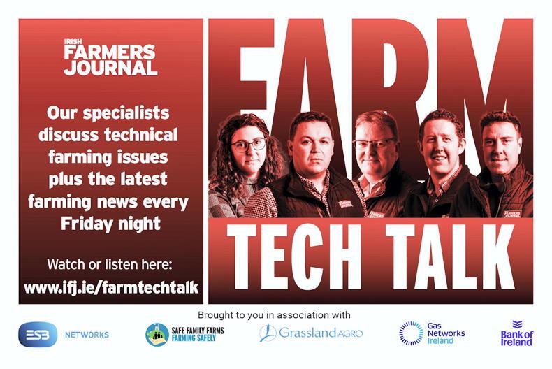 Farm Tech Talk: new TB rules, managing foxes, nitrates and on-farm safety
