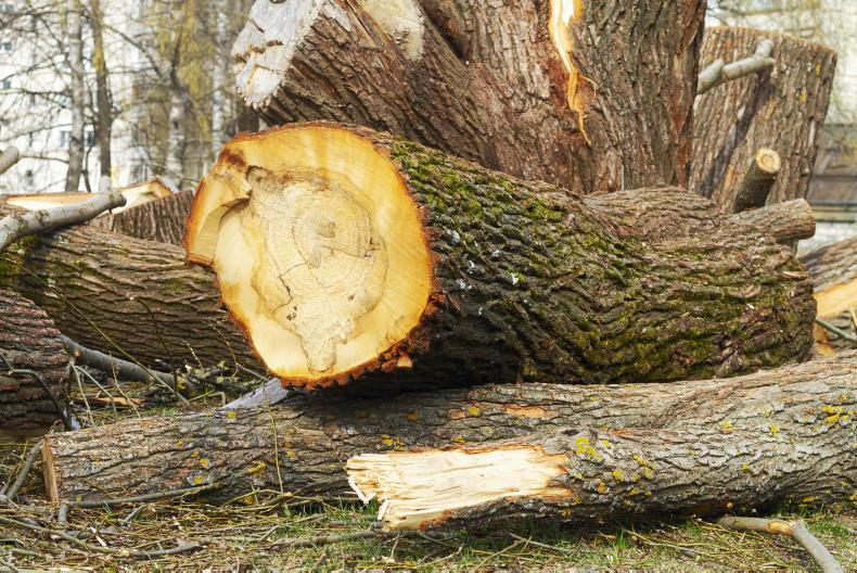 Secure payments, strengthen timber trade and ensure confidence with clear sales 