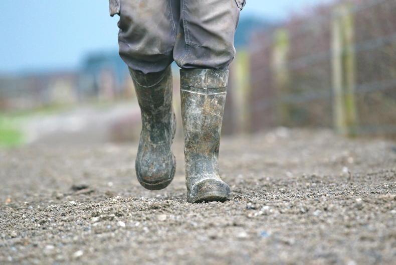 Agri Aware and TikTok join forces to launch farm safety campaign