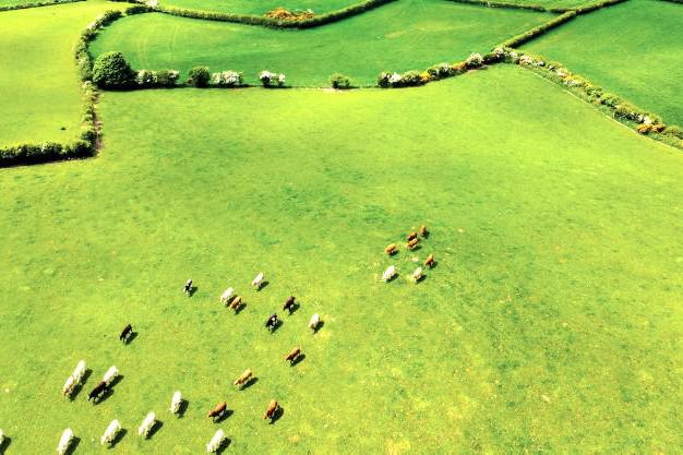 Managing Farm Finances in shifting markets