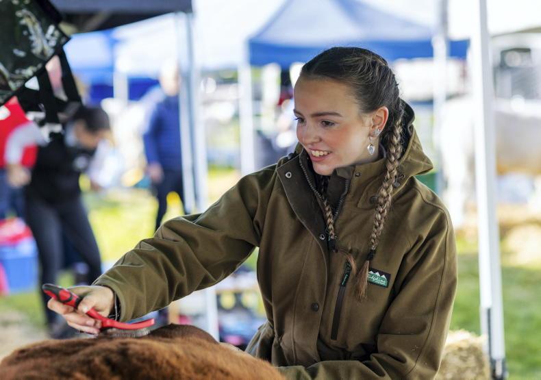 In pictures: young farmers compete at all-Ireland young stockperson finals
