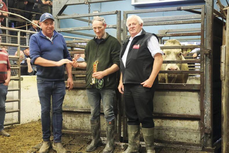 Fine showing at Castleisland fatstock show and sale