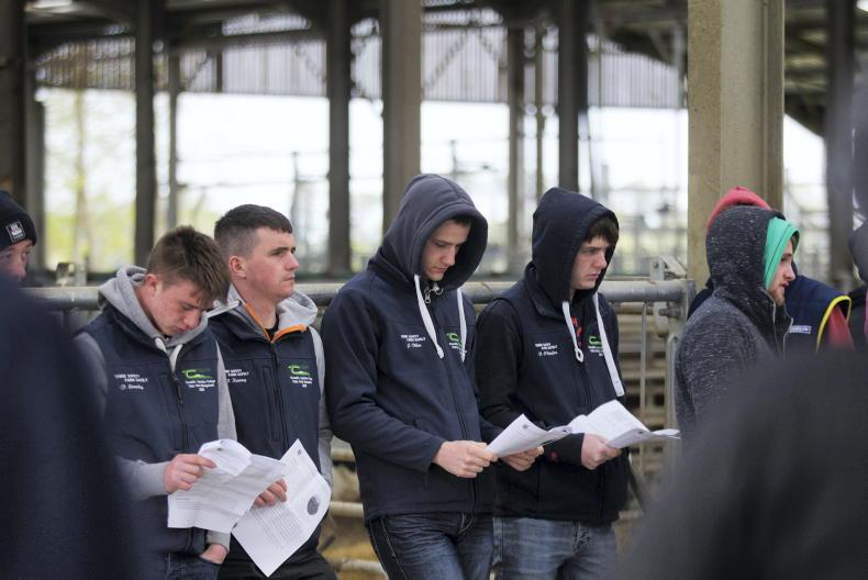 Teagasc announces new entry requirements for Level 5 courses