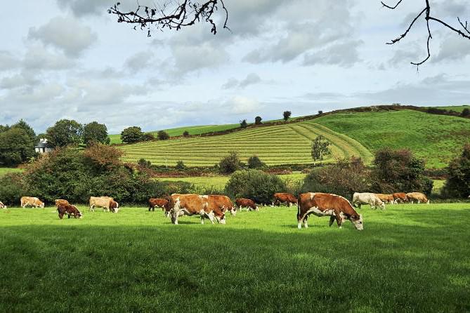 Farmer Writes: weather changes plans 