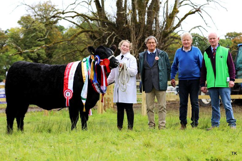 Winnie wins all-Ireland in Strokestown