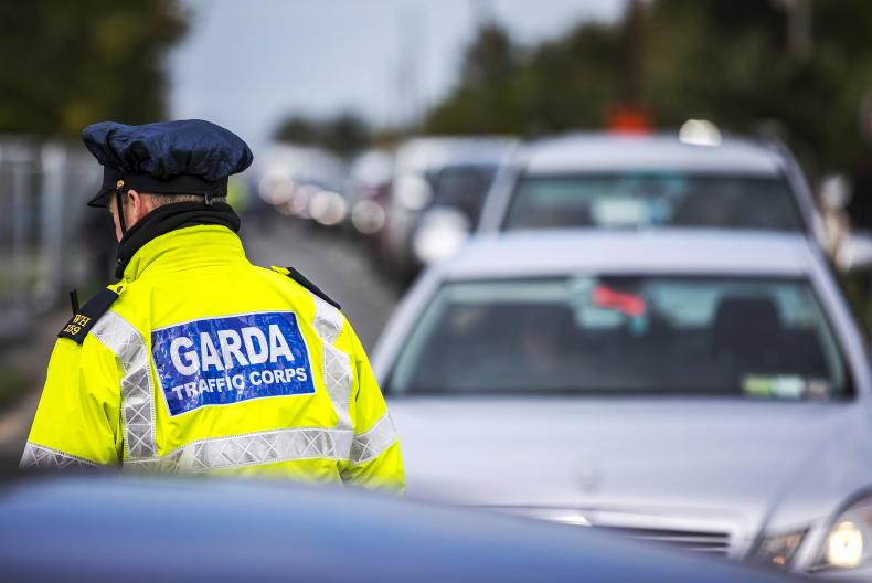 Ploughing 2025: leave the satnav at home, gardaí advise