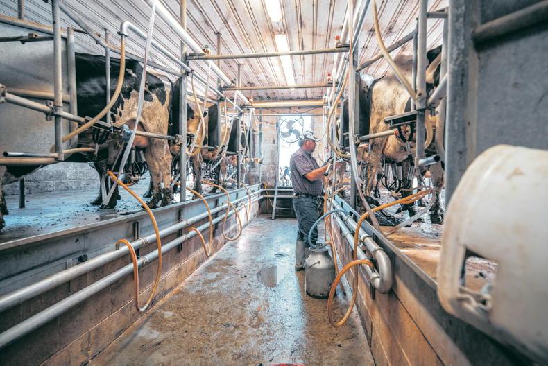 Money Mentor: good year on the dairy farm? How to tackle tax