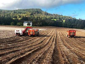 Maincrop potato harvest in full flow