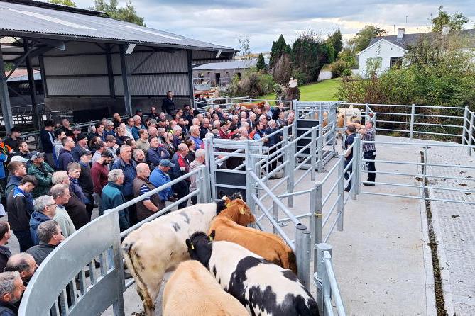 Galway handling unit offers safety and labour efficiency