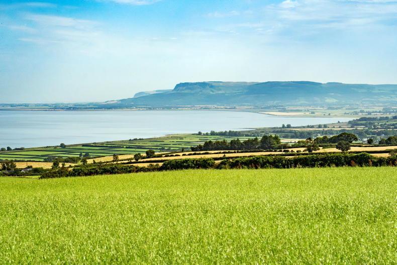 Top arable grade land for sale in Derry