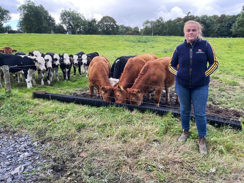 Youngstock Podcast: rearing whiteheads and breeding Limousins in the Banner