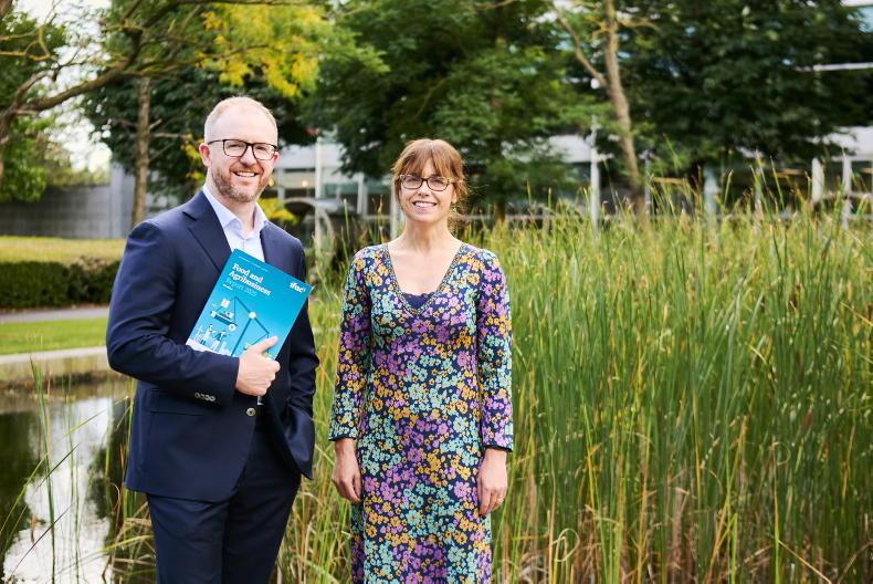 Food and agribusiness confidence rises - ifac report