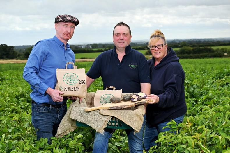 Gourmet spuds from Louth                