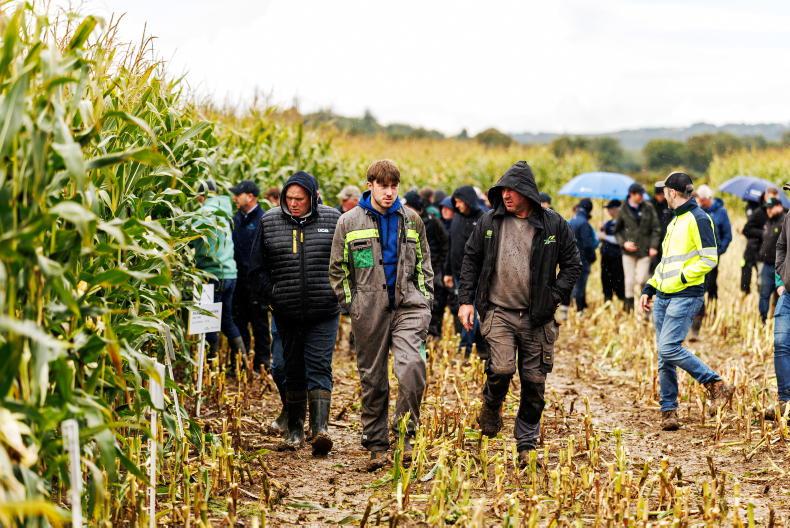 Tillage Management: rye, oats, markets and rules