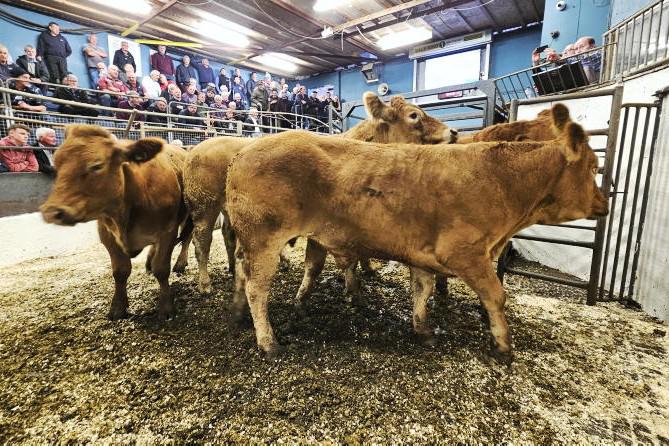 Farmer borrowing drops in 2025 