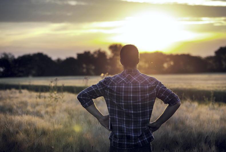 Ploughing 2025: over 15,000 free counselling sessions secured for men 