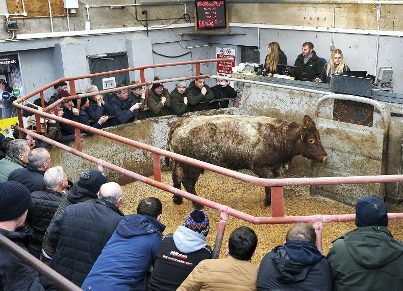 New update ready for NI livestock database