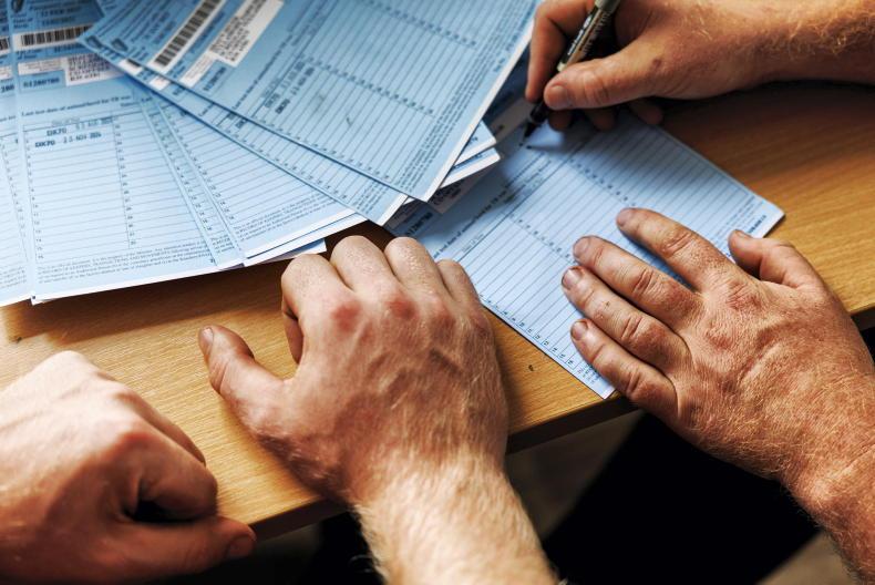 Future succession scheme in CAP could pay €720/ha 