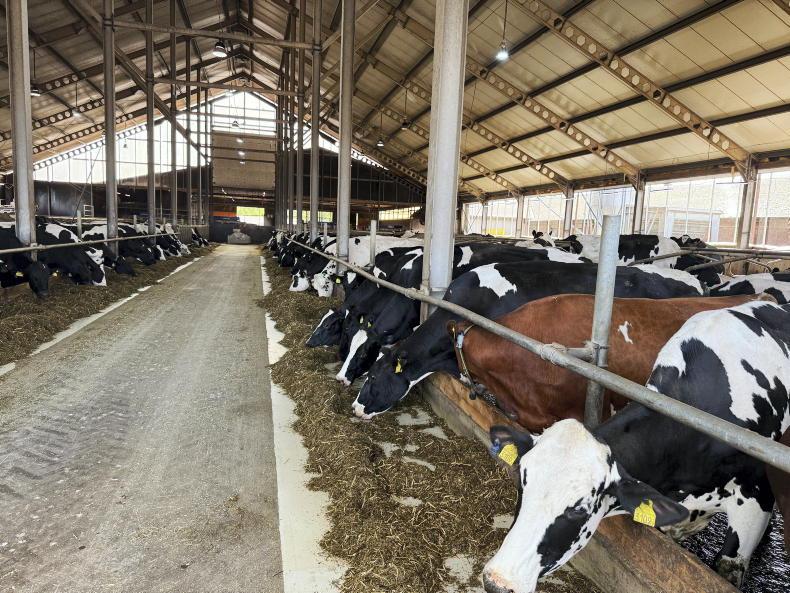 Changing landscape of Swedish dairy industry