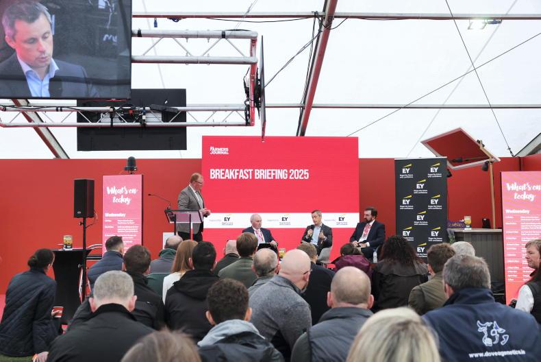 Irish exporters should focus on 'big strokes' in US to weather Trump tariffs