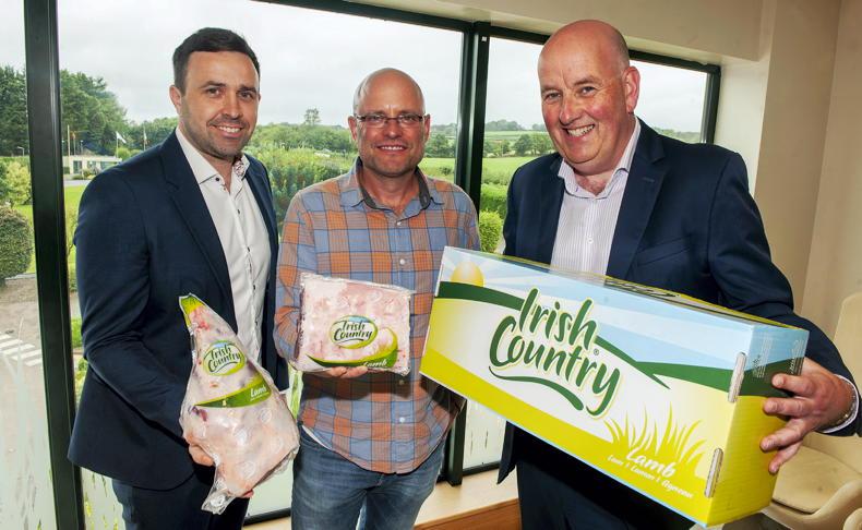 Irish Country Meats is first Irish lamb processor to export to US
