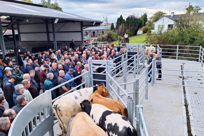 15,000 farmers apply for Beef Welfare Scheme