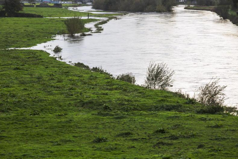 16% jump in river nitrogen levels this year