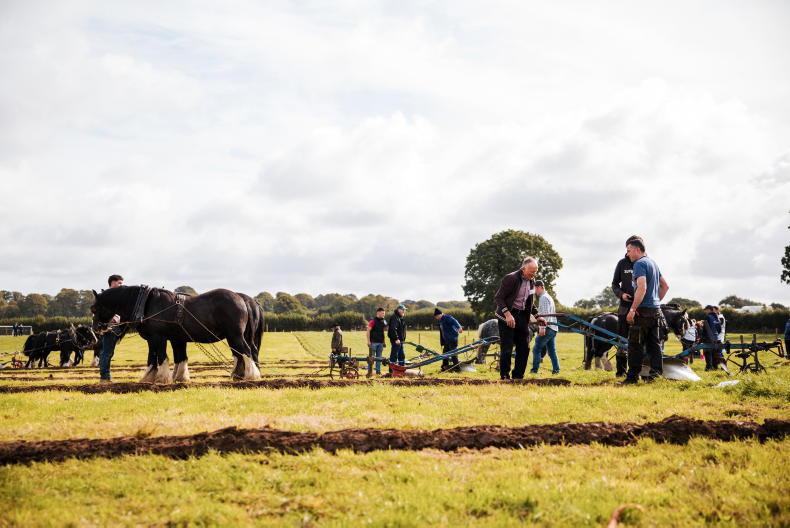 Screggan sees farmers in flying form