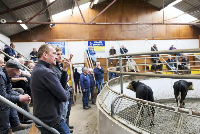 Martin Ryan to leave Thurles mart