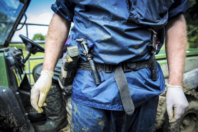 Farmer jailed for failing to TB test cattle 