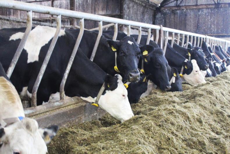 Milk prices heading down into the autumn