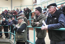 News in-brief from Northern Ireland