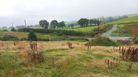 News in-brief from Northern Ireland