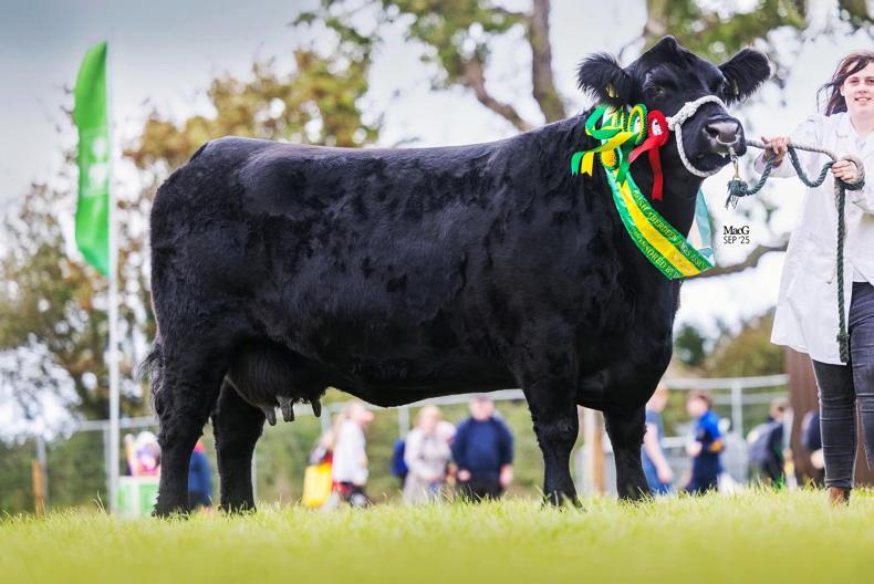 Riokemi rocks her way to all-Ireland glory