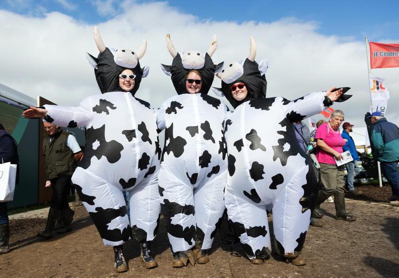 In pictures: 85,000 flock to Screggan for Ploughing day two