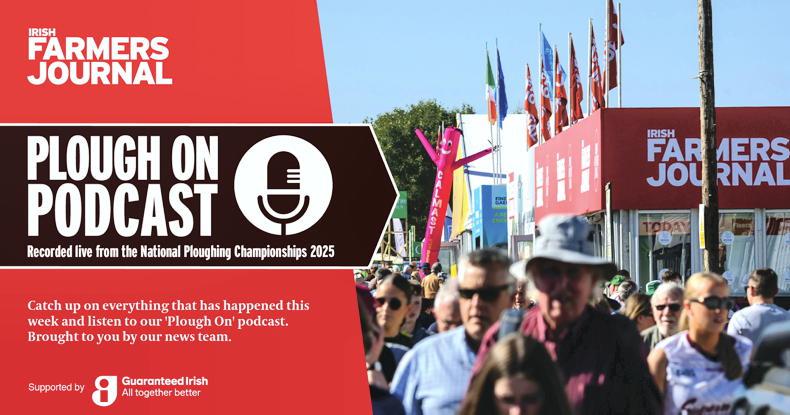 Plough On Podcast: 'farmers should marry an accountant to avoid stress'