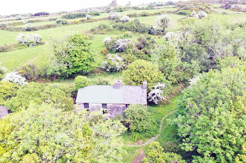 Cork land link to War of Independence