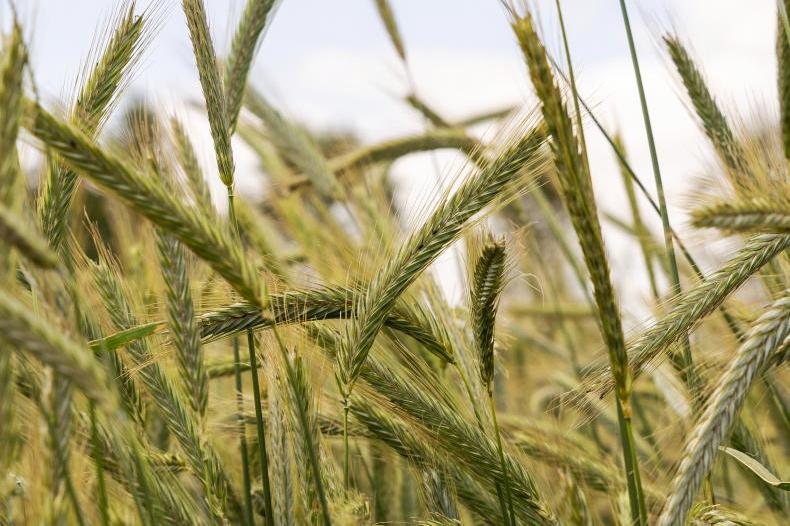 Teagasc can be ‘Tinder’ for tillage and pig farmers