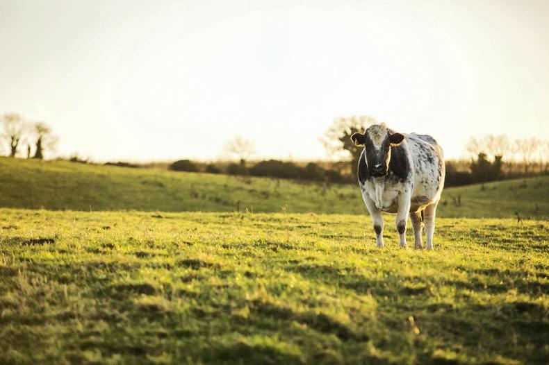 The Grass Week: soil moisture deficits reach saturation for many