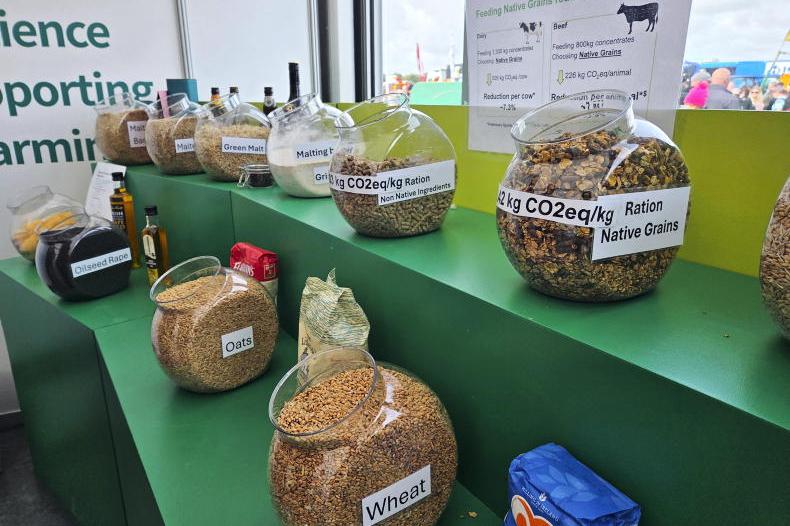Irish grain reducing the carbon footprint from dairy and beef