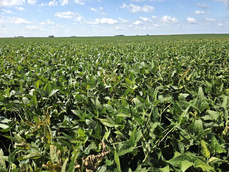 Letter from Missouri: tough year for costs and prices